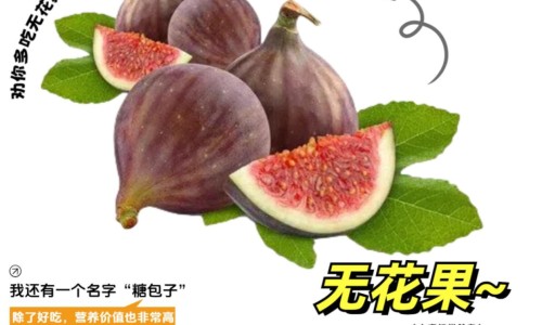 84消毒液功效-84消毒液功效-专业消毒药水平台-84消毒液功效与作用